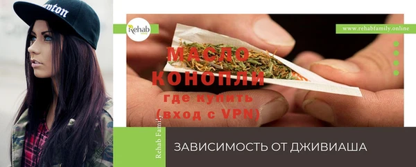 дживик Волосово