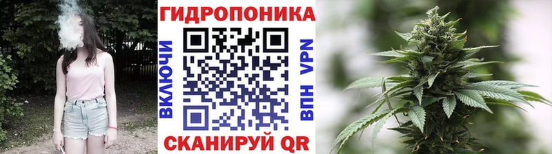 купить   МЕГА   Бошки Шишки семена  Черняховск 